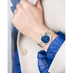 Cover CARDEA Blue, Bicolor