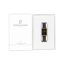 Pierre Lannier ARIANE